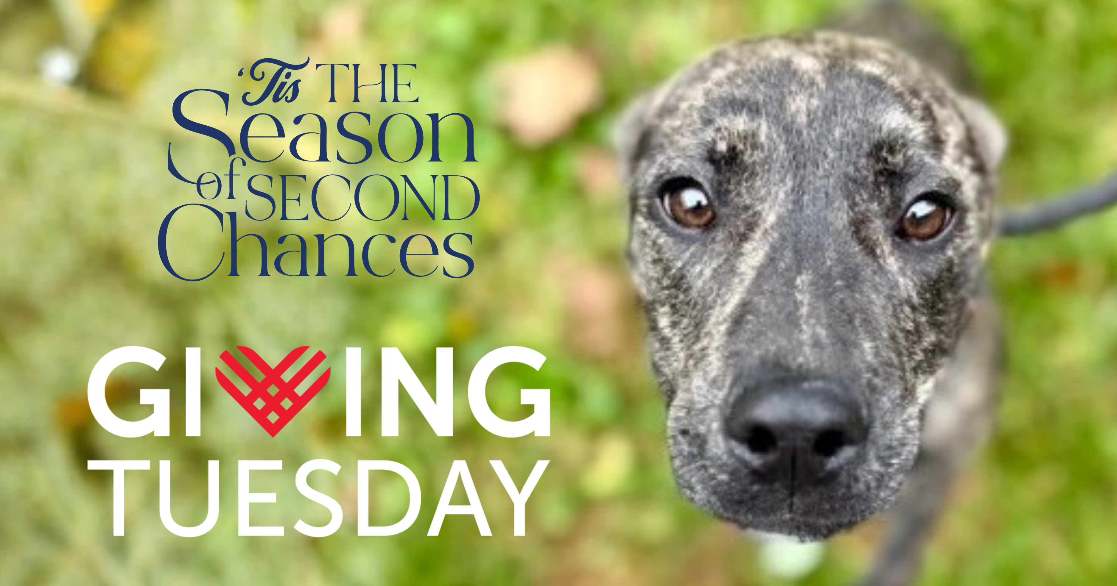 The Day Compassion Becomes Care