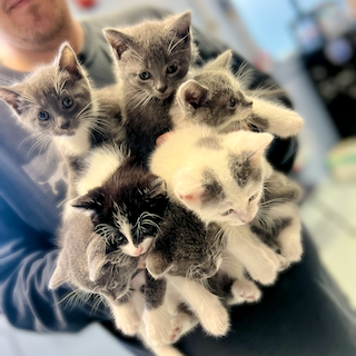 2024: A Year In Review