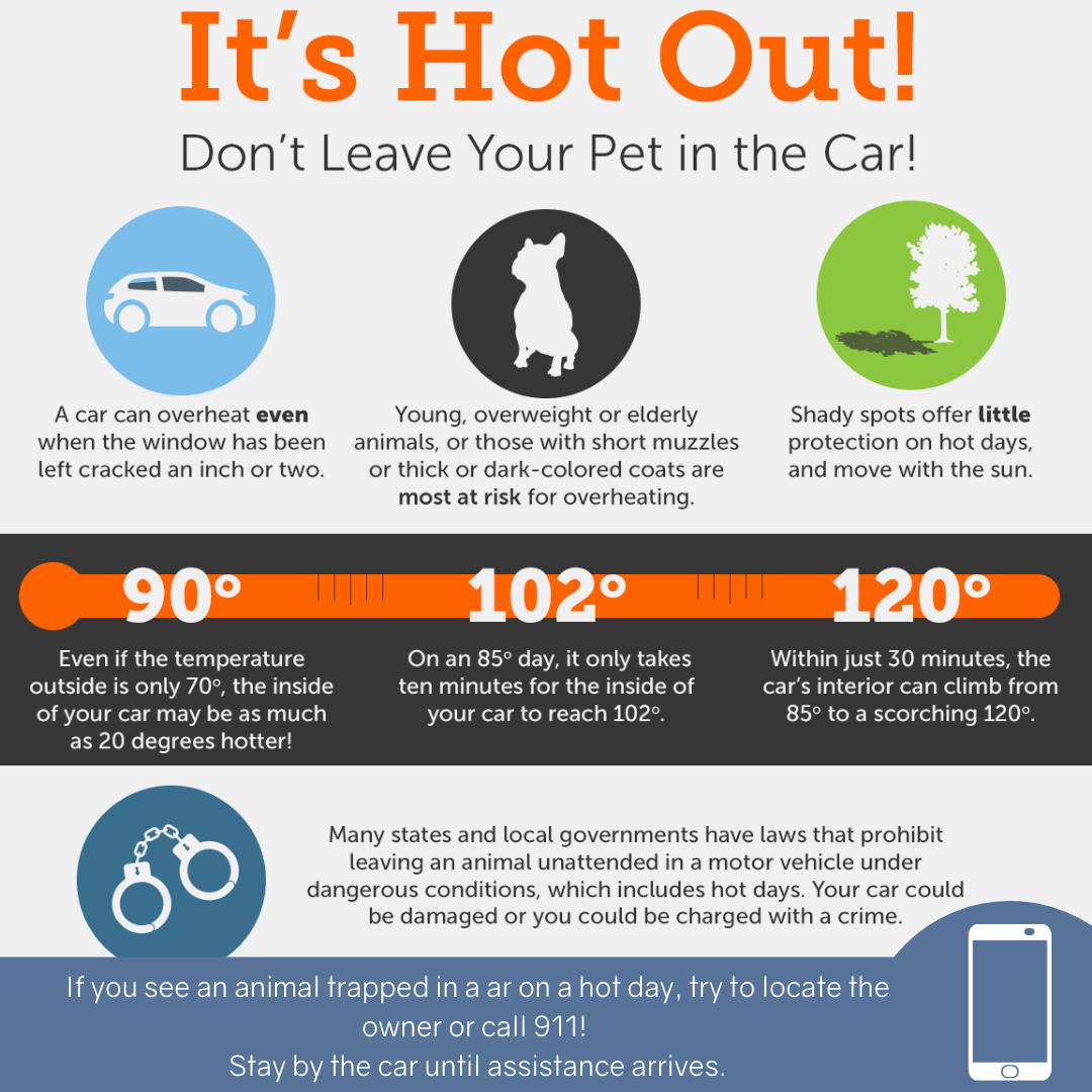 Hot Weather Safety Tips