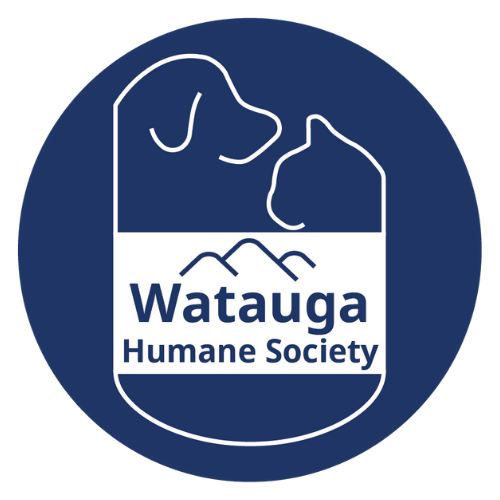 Bare Bones Boutique HUGE August Sale