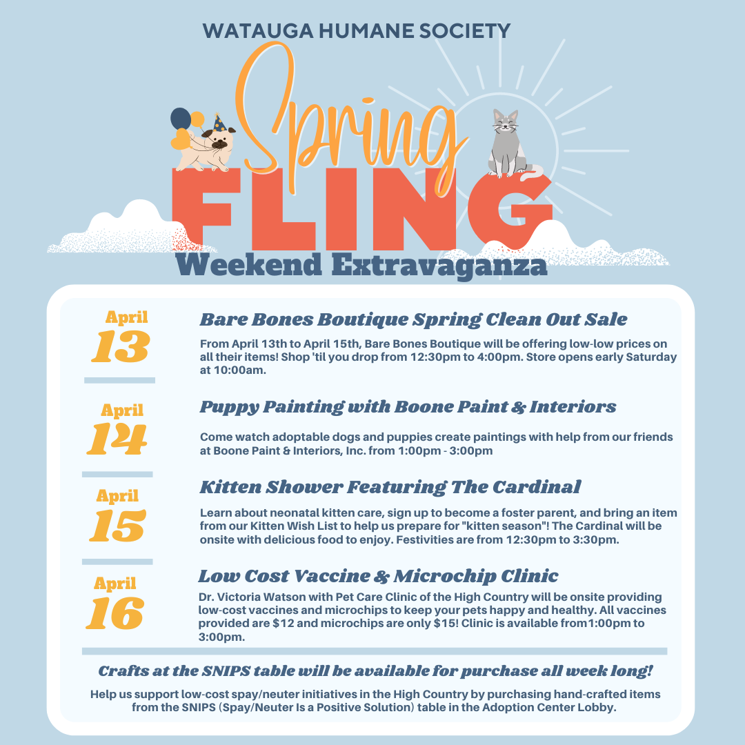 Spring Fling Weekend Extravaganza!