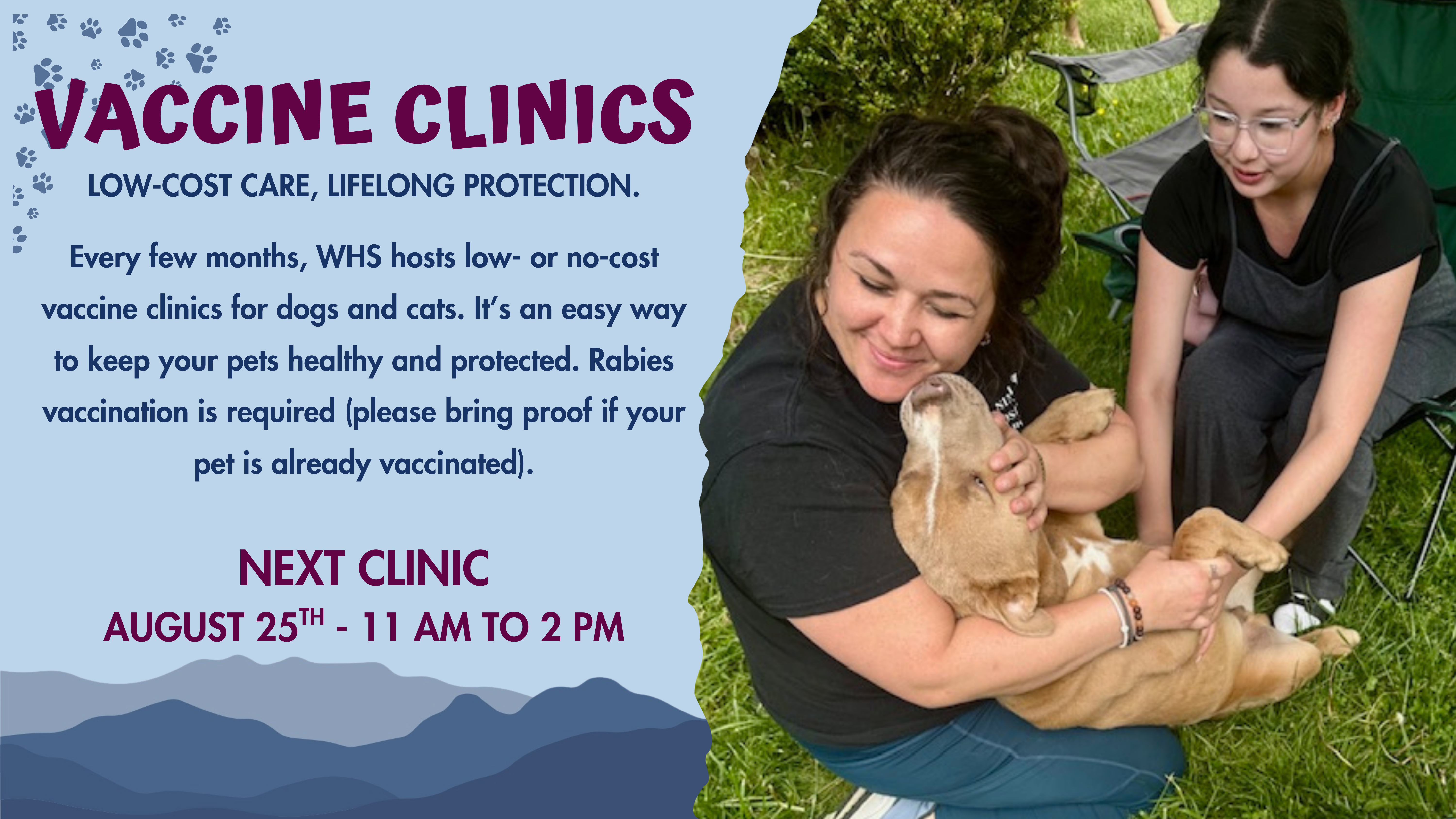 Rabies Alert in Ashe County: What You Need to Know