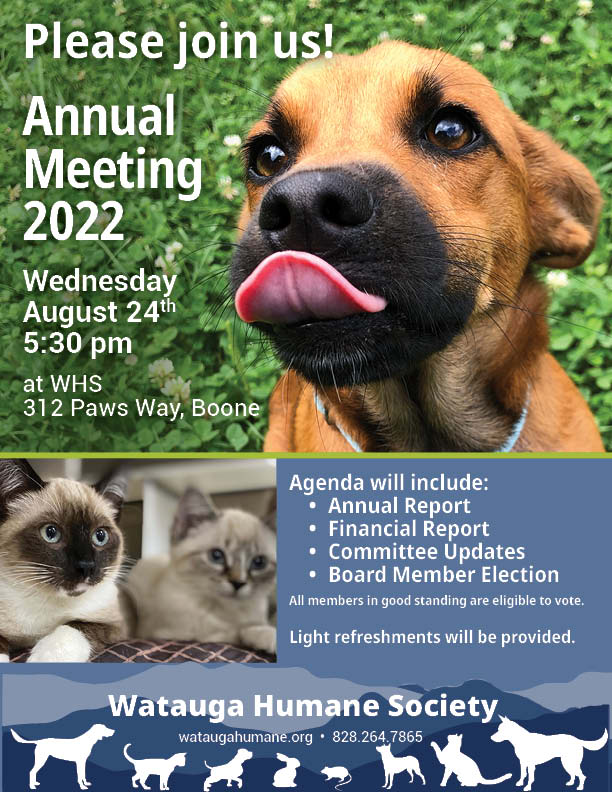 2022 Annual Meeting