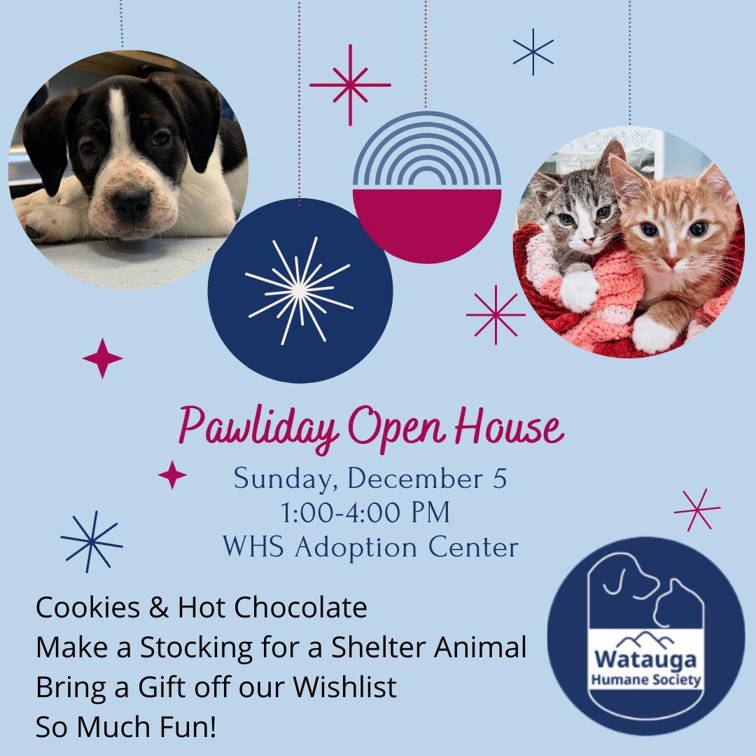 Pawliday Open House!