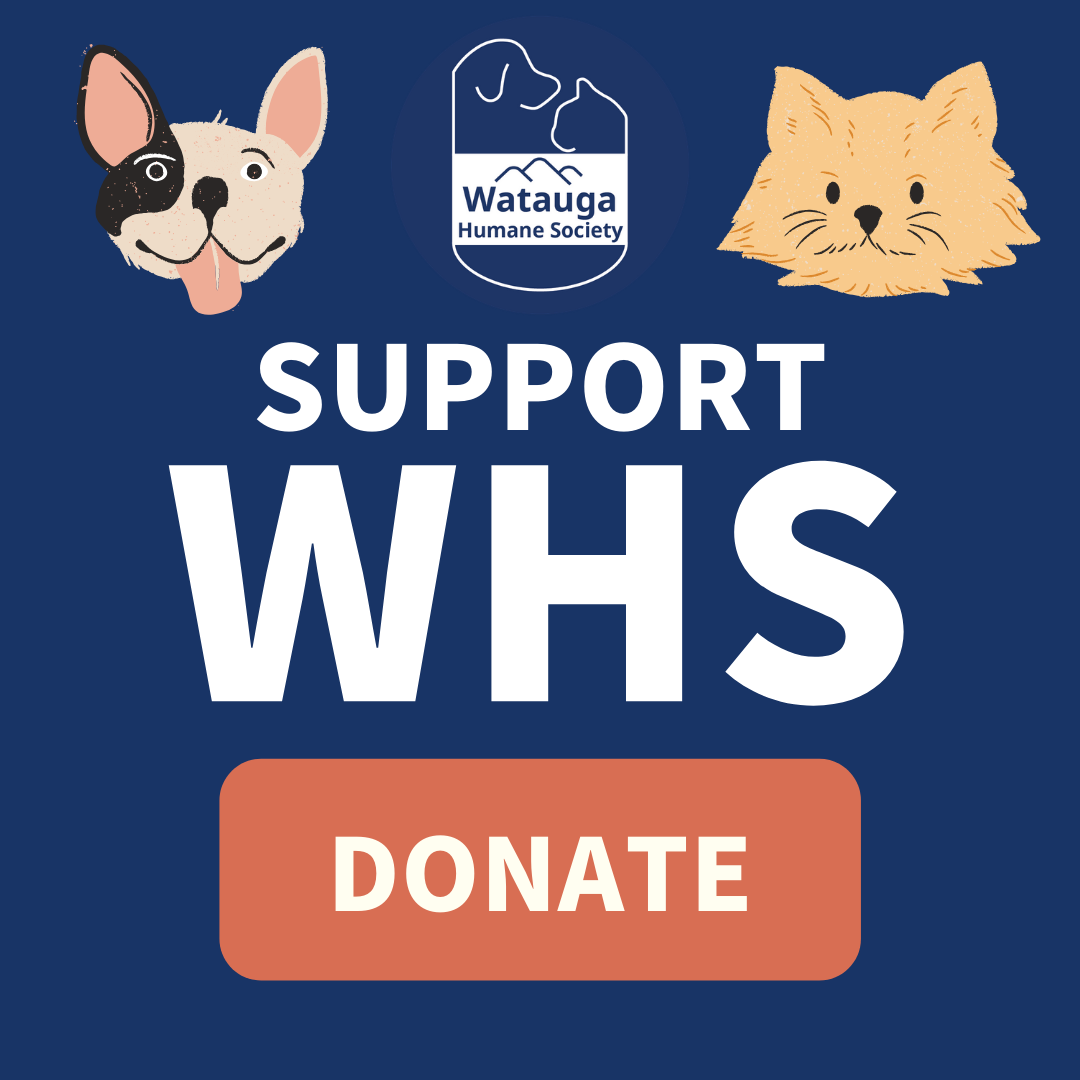 Thank You for Your Support!