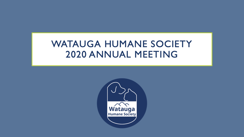 Updates & Changes - 2020 Annual Meeting