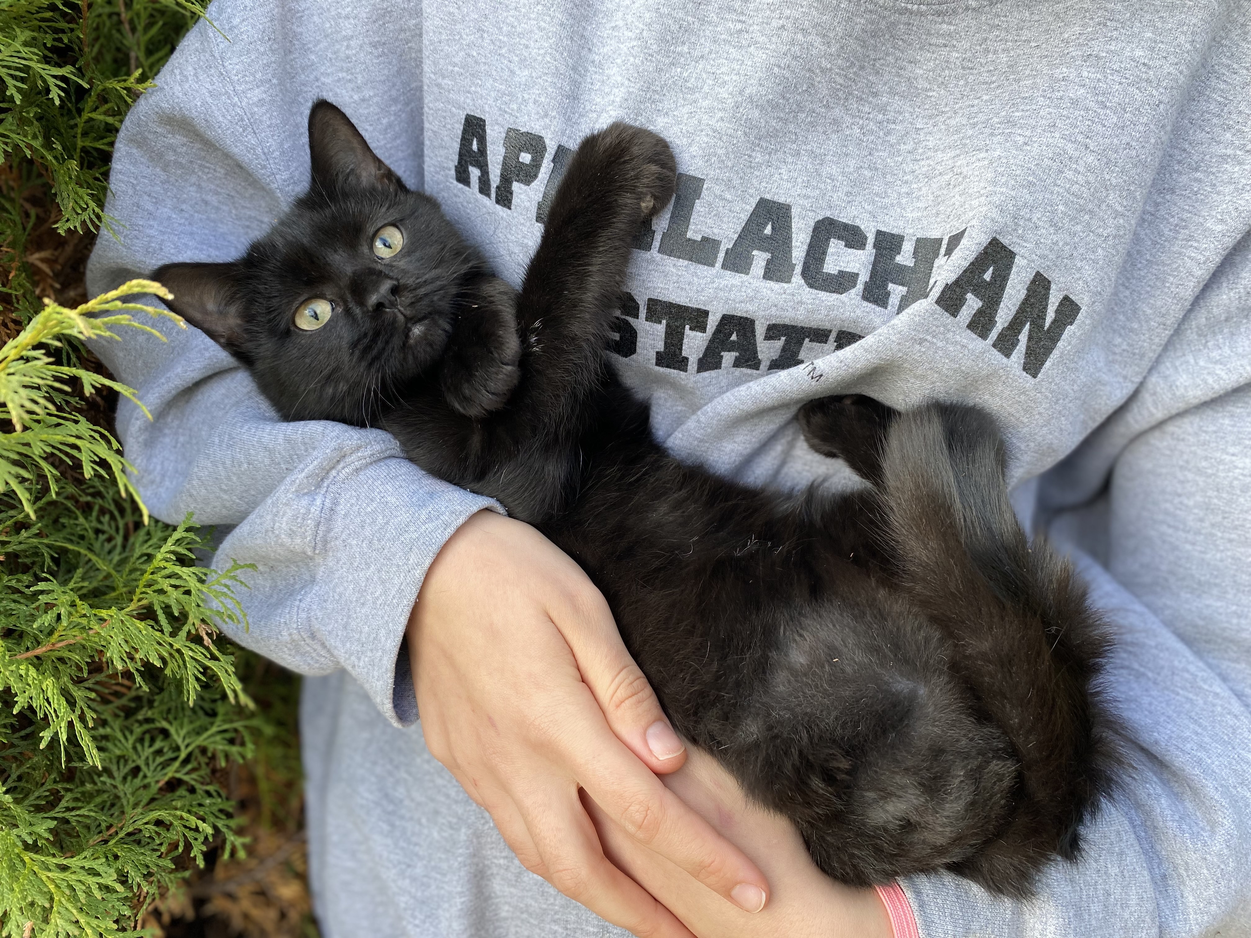 Thank You for Being Our Friend