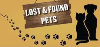 Stray Animals & COVID-19 Restrictions