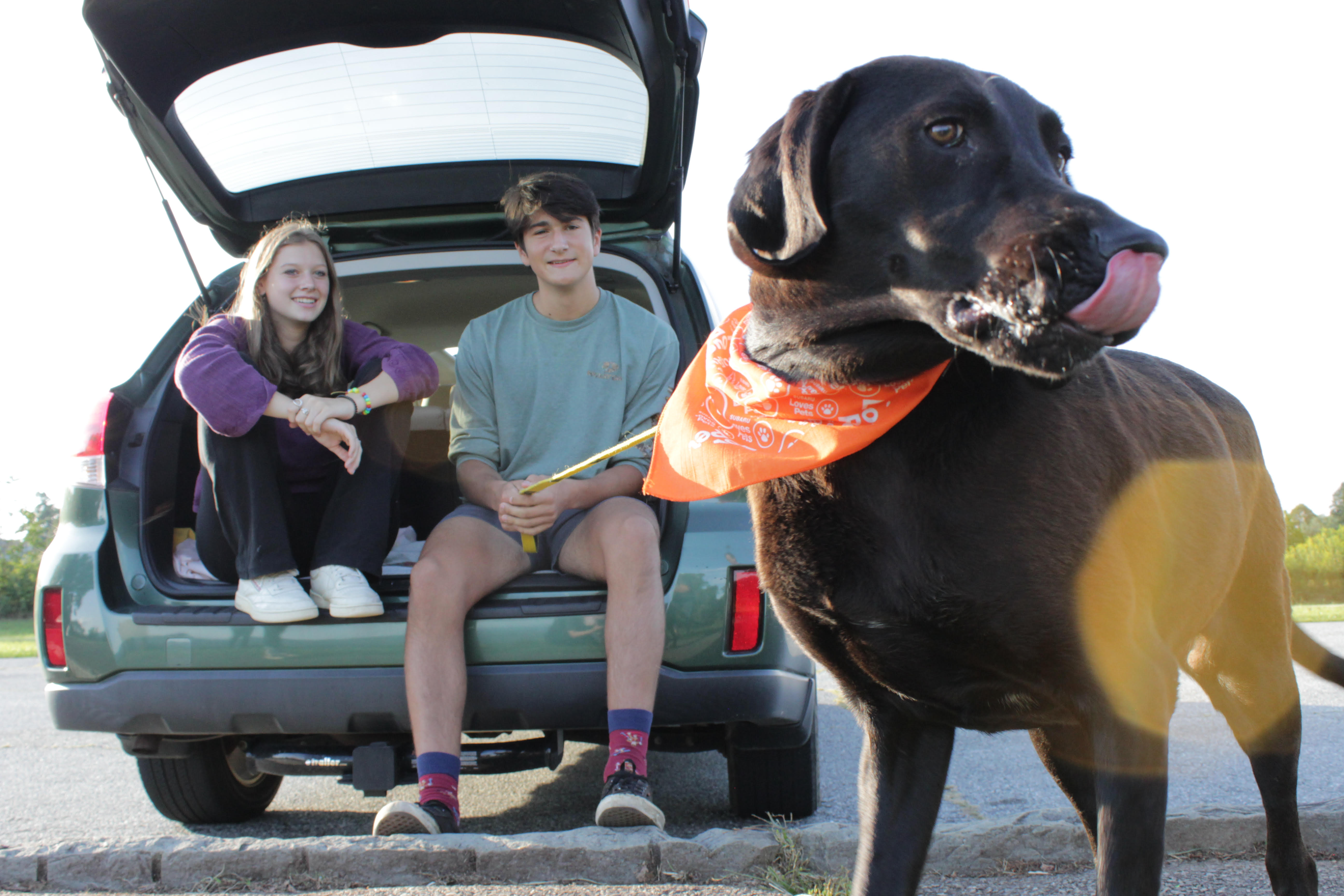 Modern Subaru & ASPCA October Adoption Event